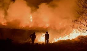 To protect the environment we must prevent moorland wildfires