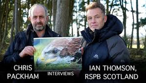 Fieldsports TV investigation reveals 'dark arts' being used by RSPB to persecute gamekeepers