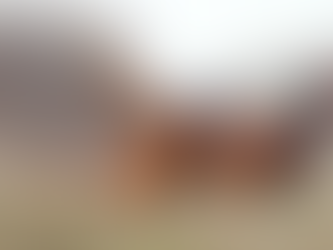 Wild Justice’s court case stinks of hypocrisy