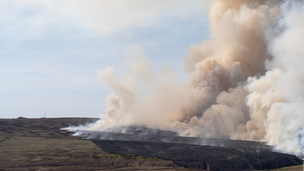 The situation surrounding this year's non-stop wildfires is not just shameful, but also shameless