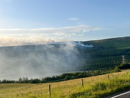 Burned Again, Then Shut Off: Why Can't We See What Happened on Crowden and Arnfield Moor?