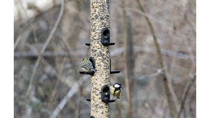 The RSPB has spent 15 years spreading disease, yet still thinks it knows best