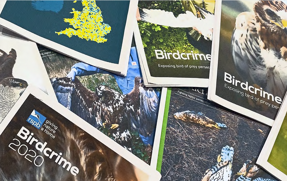 'RSPB Uncovered' delves into the dodgy practices of the RSPB's annual 'Birdcrime' reports.