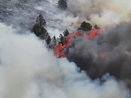 They Were Warned On Tuesday. By Wednesday Night The Moor Was Ablaze.