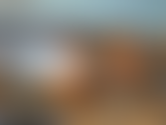 Is the National Trust really concerned about wildfire risk at their properties?