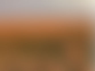 Lek it be - black grouse mating rituals in full swing