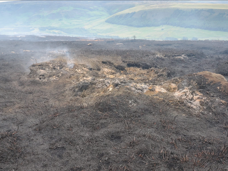 RSPB's wildfire failures highlighted once again at Crowden and Arnfield