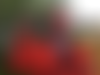 Is Chris Packham always right?