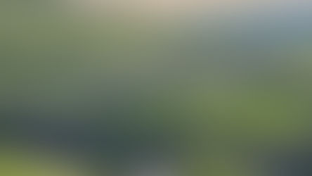 What the Curlew knows that Chair of Friends of the Dales, Jonathan Riley, doesn't