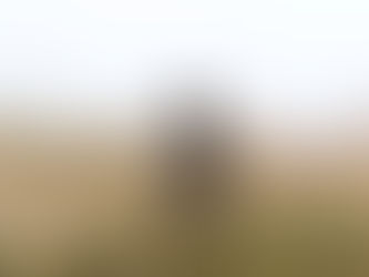 The Peak District Moorland Group's response to Ruth George MP