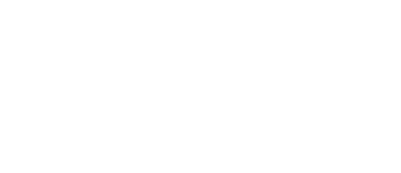 logo-seire.png