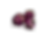 IMG_9171_edited.png