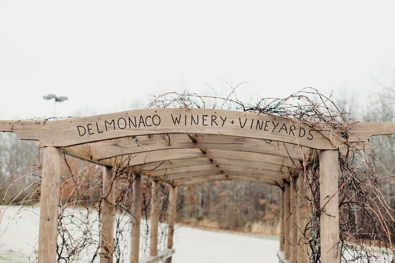 Visit the Winery DelMonaco Winery