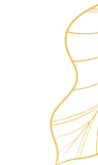 section1-icon3.png