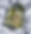 IMG_4915_edited.png