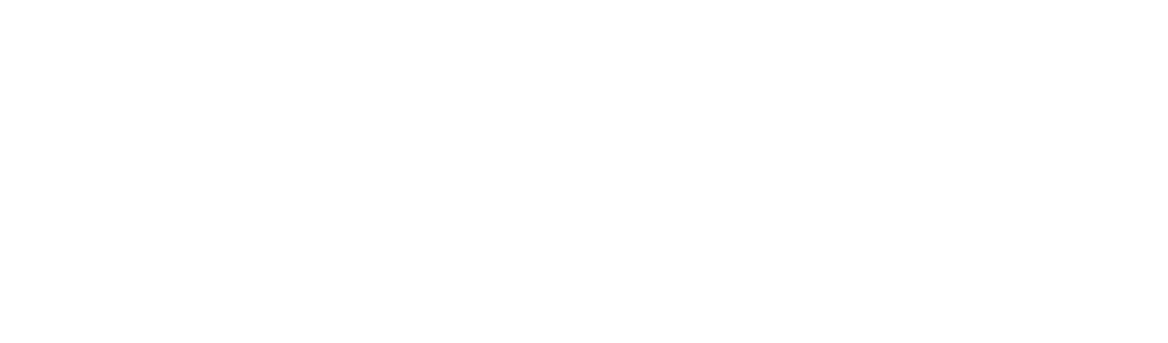 Viff logo white.webp