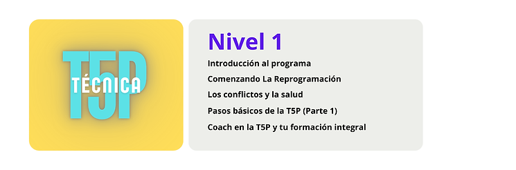 Programa capacitación online