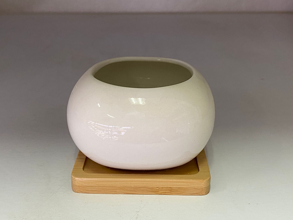Thumbnail: White Porcelain Series (small)
