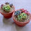 Thumbnail: Succulent Arrangement Gift