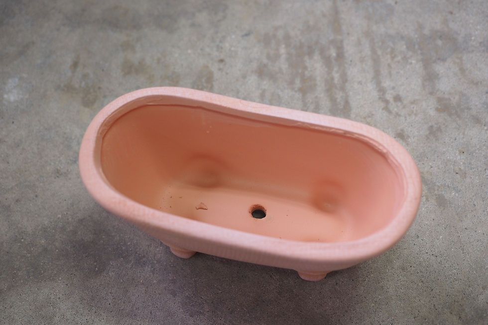 Thumbnail: Bathtub Terracotta Pot