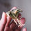 Thumbnail: Haworthia Atrofusca Variegata 3