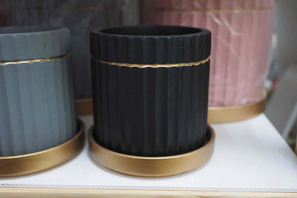 Thumbnail: Single Gold Stripe Planter