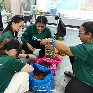 Preschool educators at a compost workshop