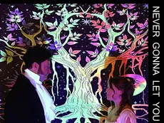 Lace and Love: Dream Pop's Tale of Everlasting Romance with Fall of Passion's 'Never Gonna Let You Go'