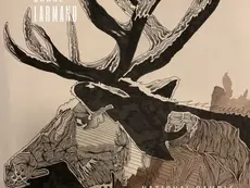 Songs of a Timeless River: Witness Folk Rock's Golden Sunsets with Shane Larmand's 'National Ramble'
