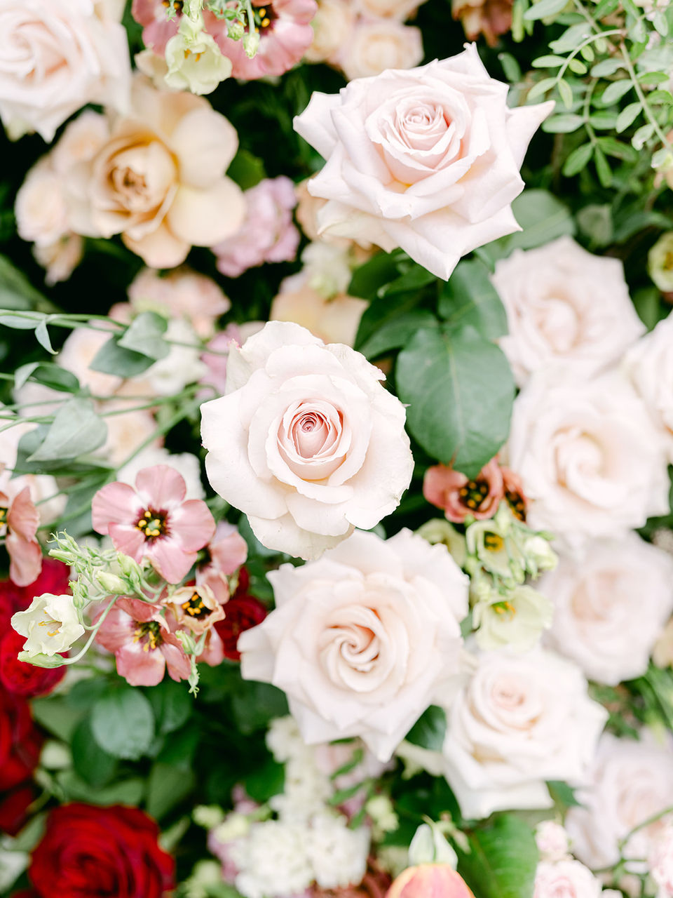 Close-up of garden roses and floral details by Katya Hutter Floral Design