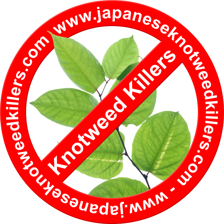 Japanese Knotweed Killers Logo