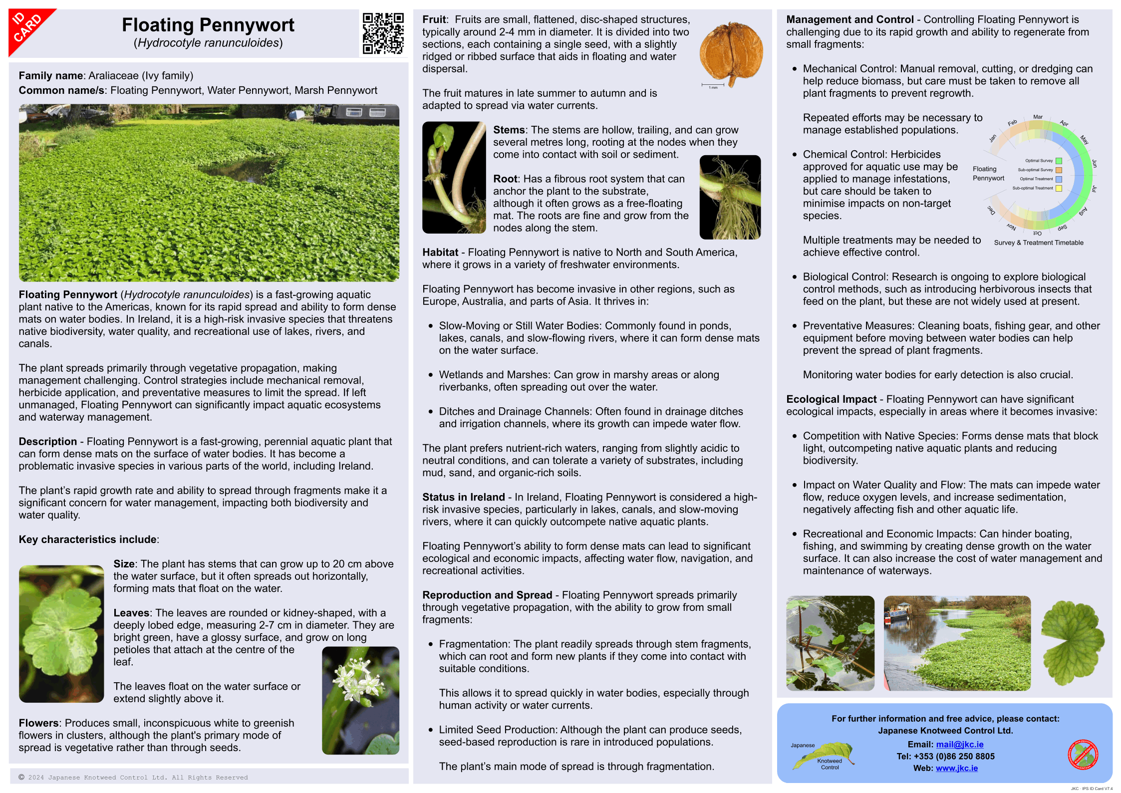 Floating Pennywort - Hydrocotyle ranunculoides ID Card