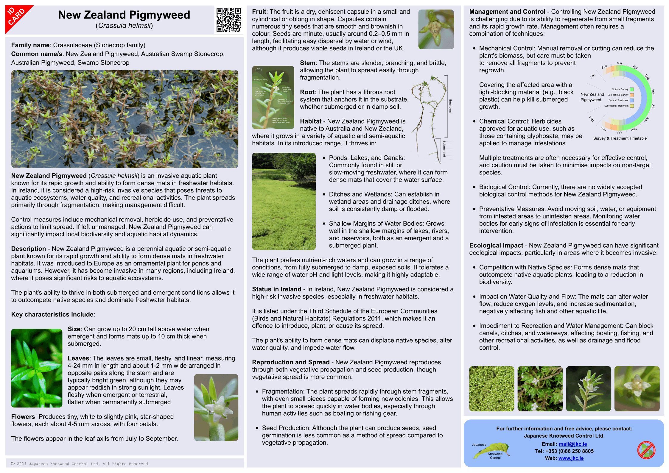 New Zealand Pigmyweed - Crassula helmsii ID Card