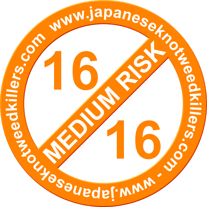 Medium Risk