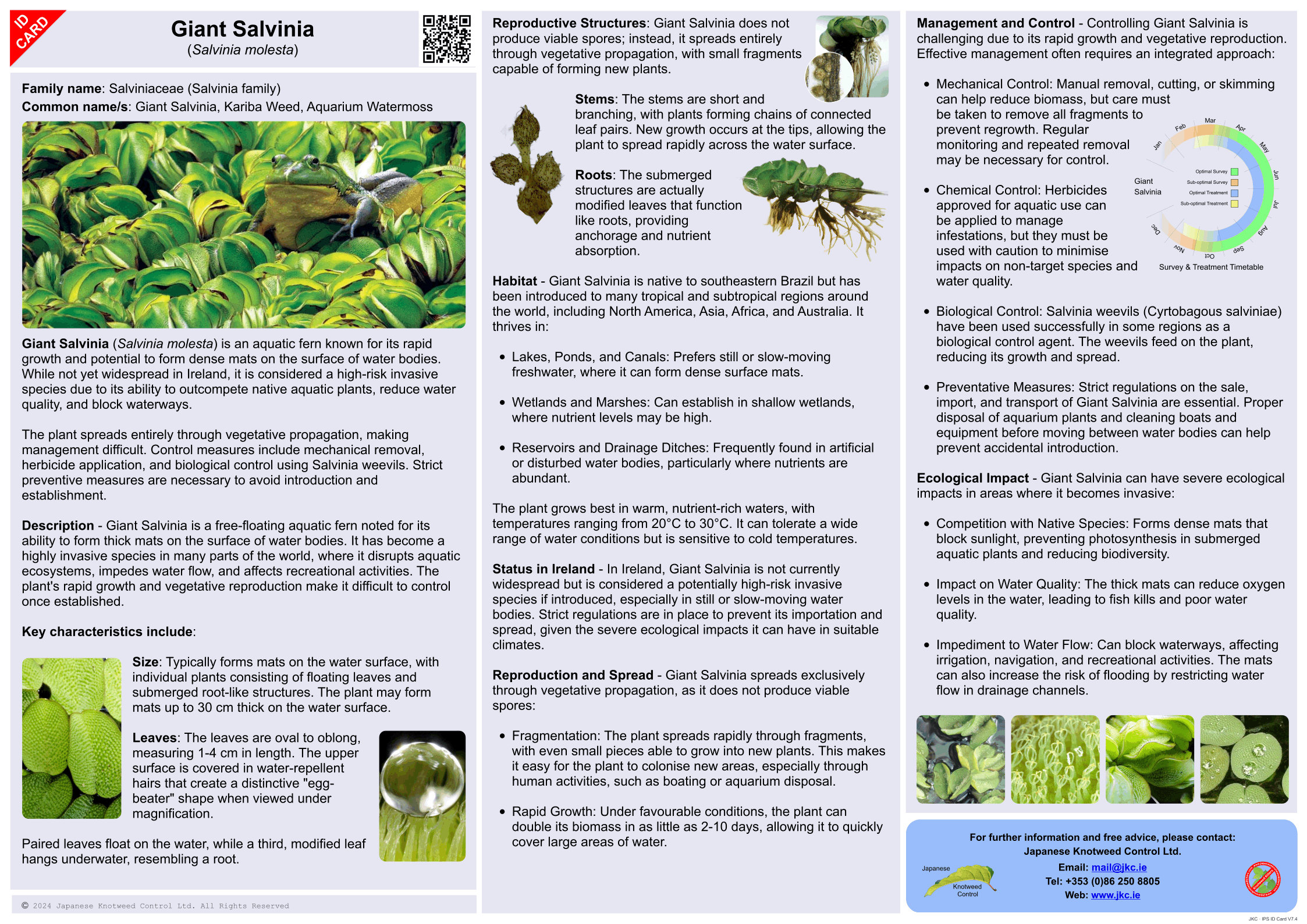 Giant Salvinia - Salvinia molesta ID Card