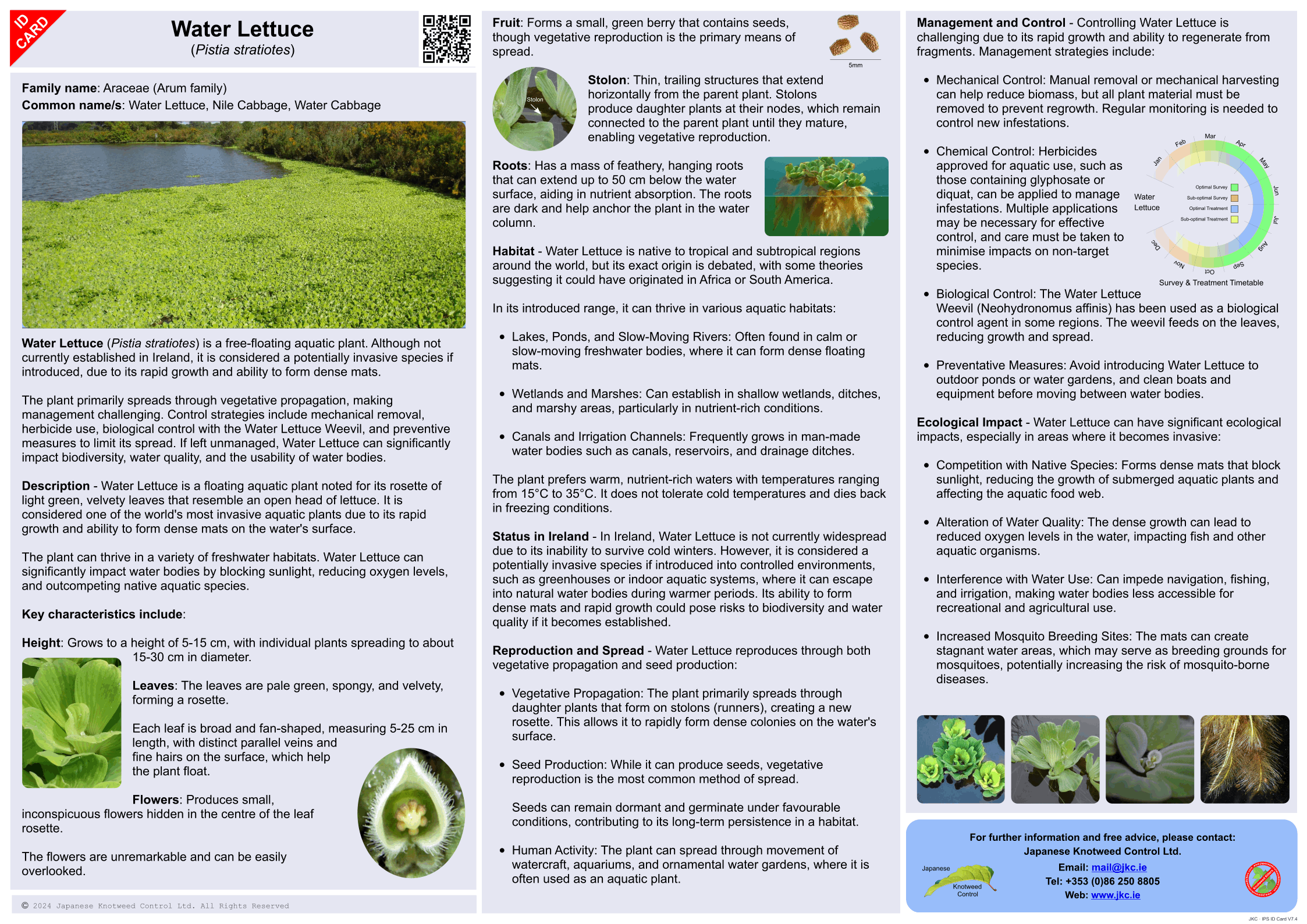 Water Lettuce - Pistia stratiotes ID Card