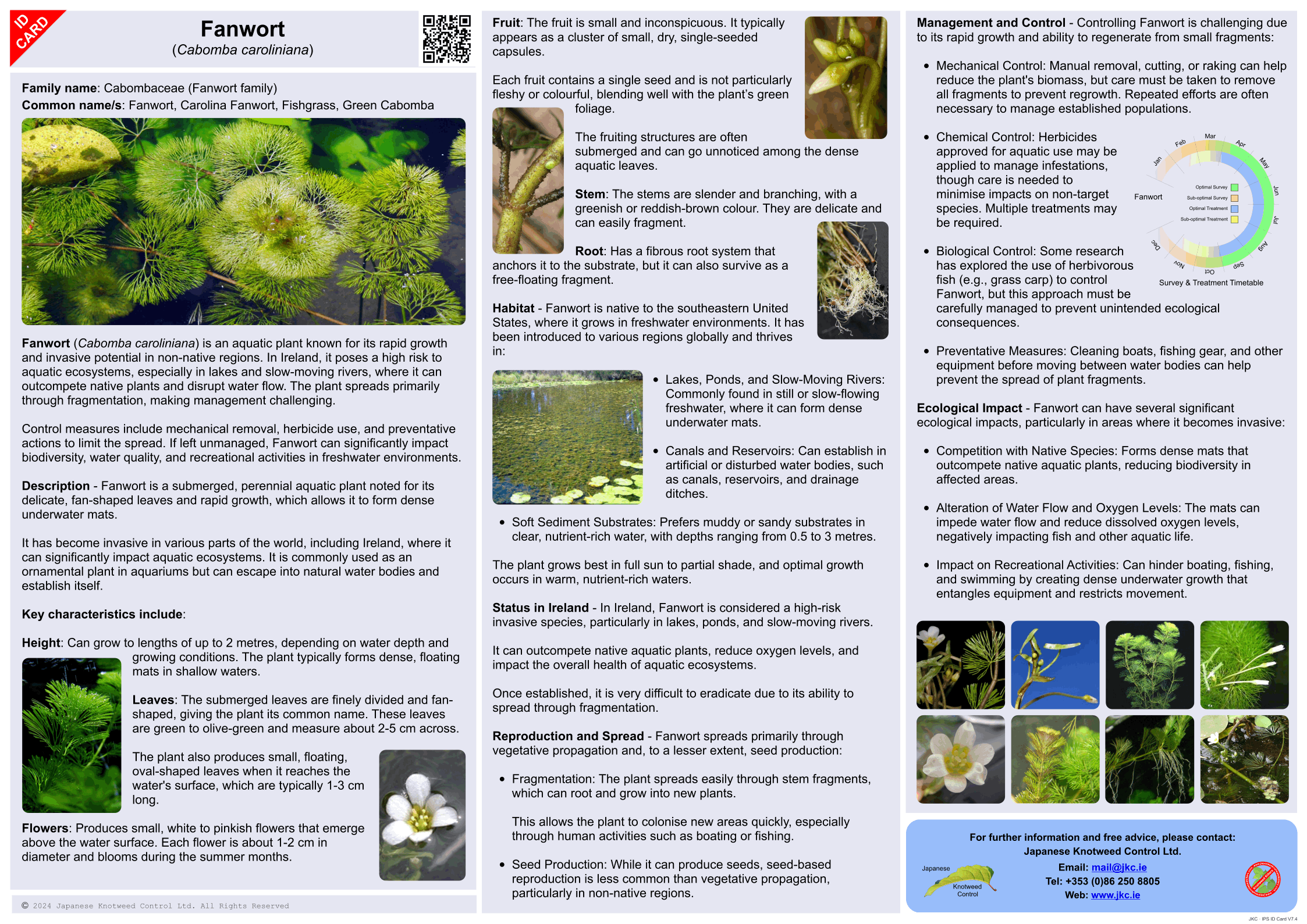 Fanwort - Cabomba caroliniana ID Card