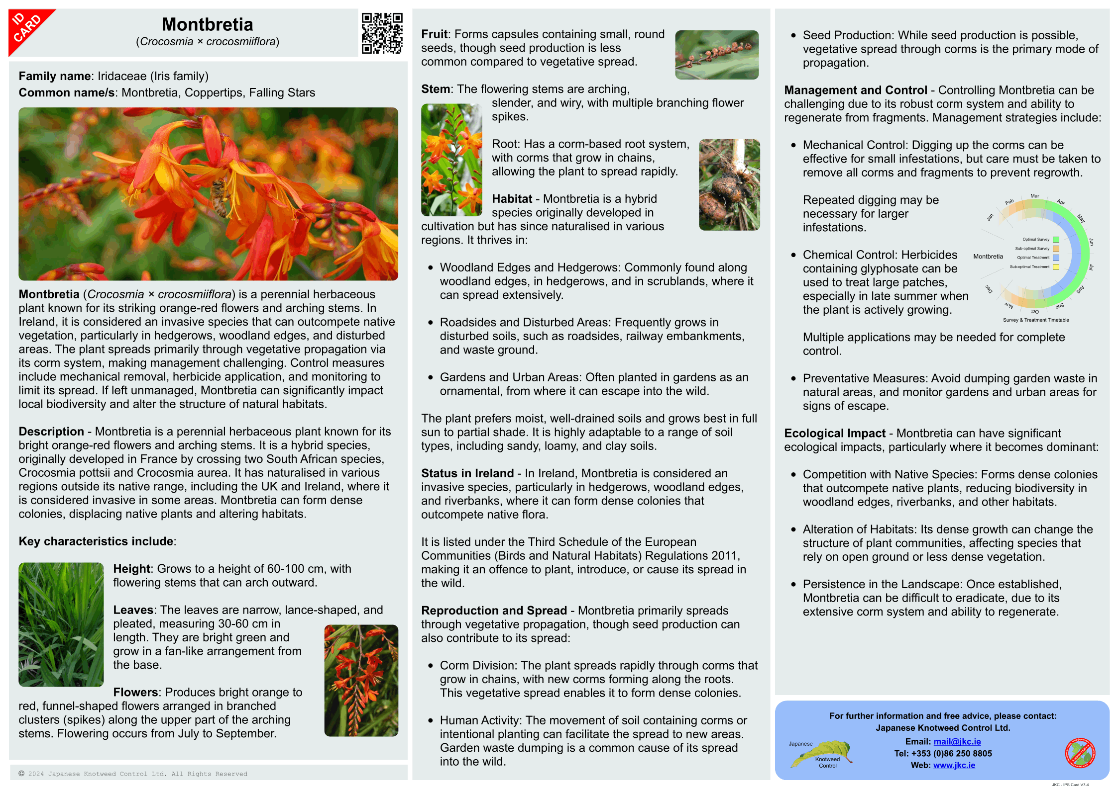 Montbretia - Crocosmia x crocosmiflora ID Card