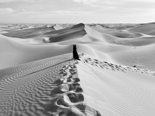 United Arab Emirates [2019-2024]