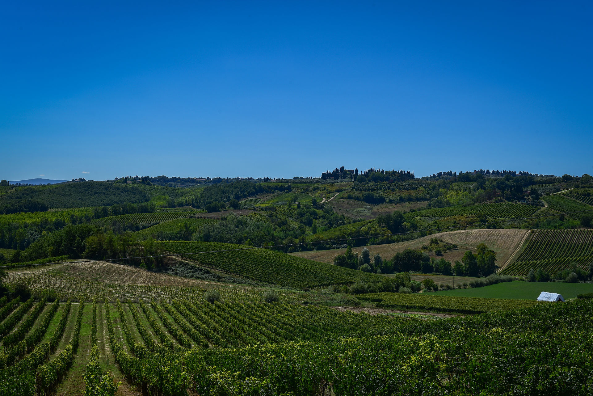 Fattoria Poggio Allora