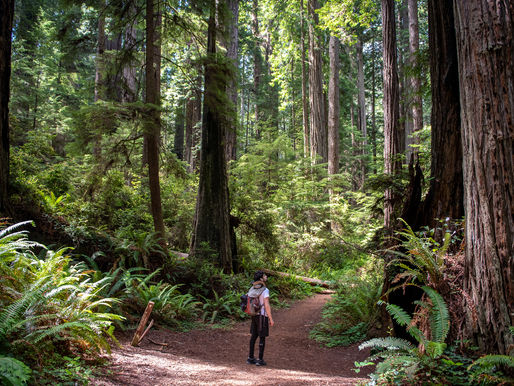 California & Oregon [2021]