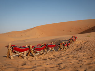 Qasr al Sarab [2020] 