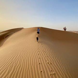 AUH4 Planet Jakku Run