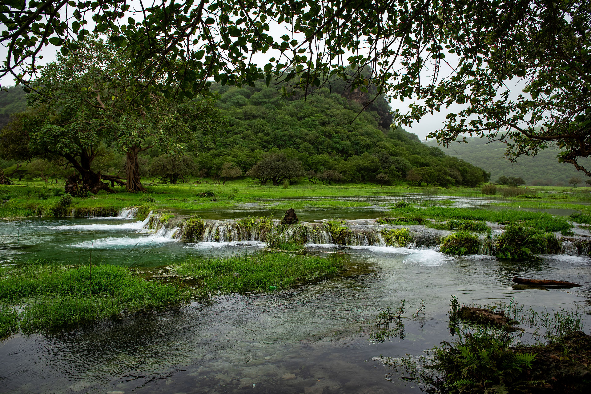 Wadi Darbat