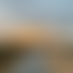 Mangrove path we'd regularly walk Kimber