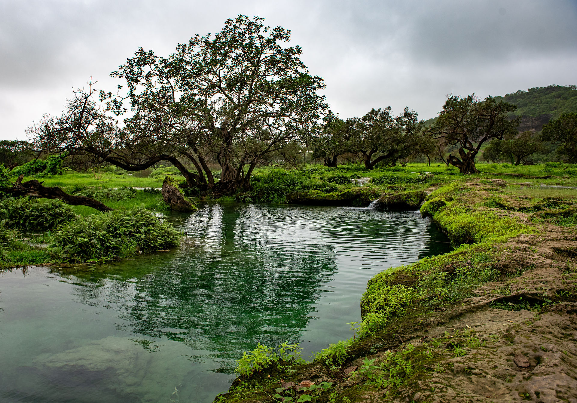 Wadi Darbat
