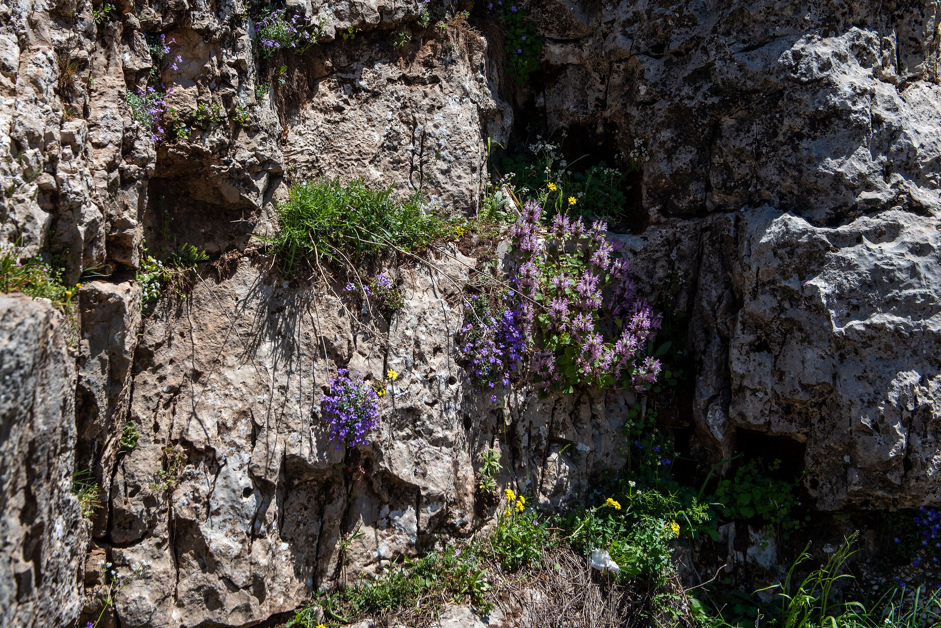 Baatara Gorge Waterfall