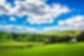 Sustainability green.jpg