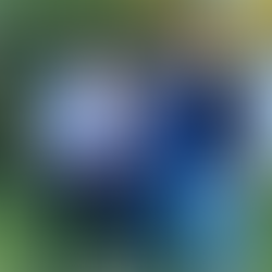 Modern Wealth Management