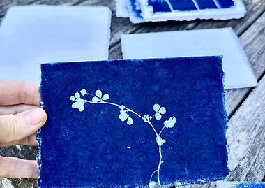 cyanotype  with blank cards_edited.jpg